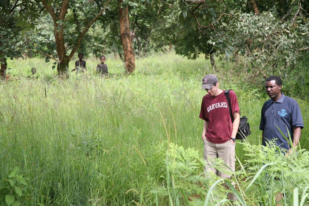 HarvardListening_small