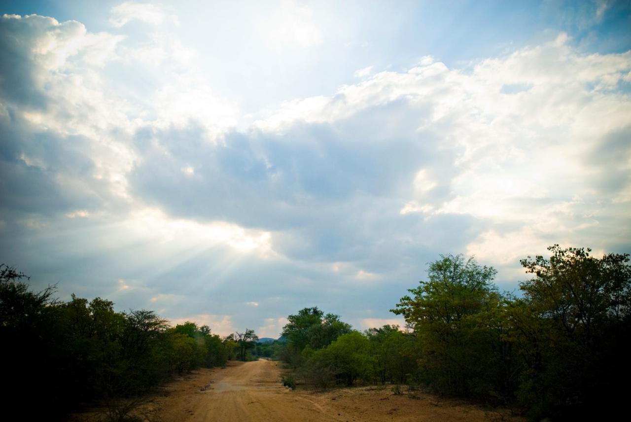 11163117_10153275741394314_5826736570744463064_o